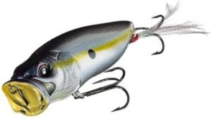 bass fishing lures