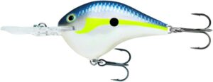 bass fishing lures