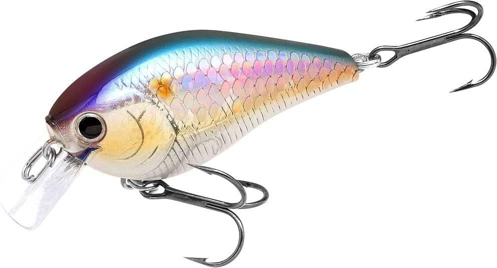 bass fishing lures