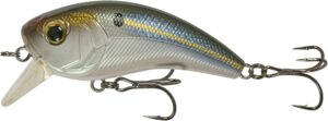 bass fishing lures