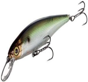 bass fishing lures