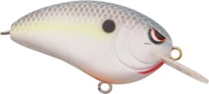 bass fishing lures